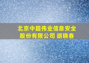 北京中超伟业信息安全股份有限公司 胡晓春